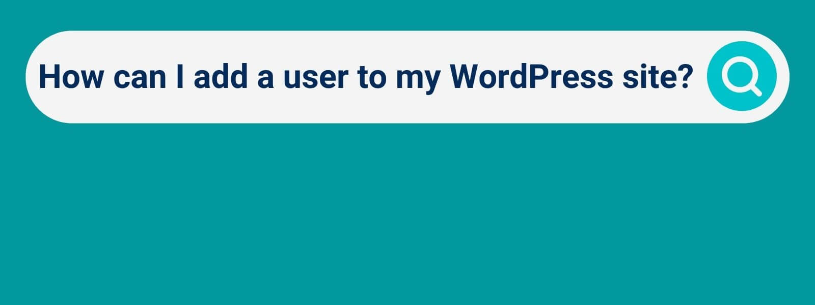 Search box with text "How to safely give someone access to WordPress"